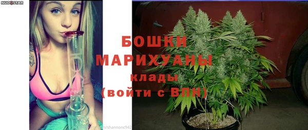 спайс Нягань