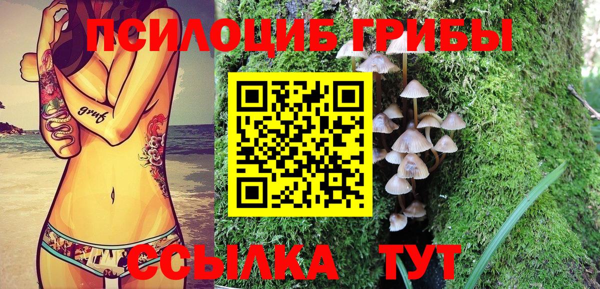 Галлюциногенные грибы Magic Shrooms  Архангельск 