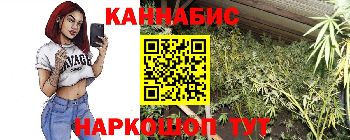 Бошки Шишки MAZAR Архангельск